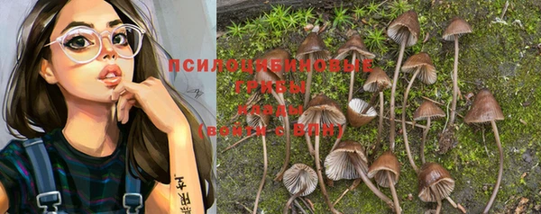 дурь Рославль