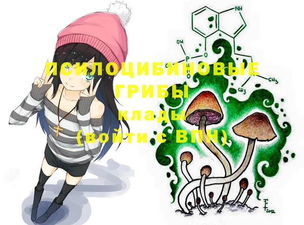 ГАЛЛЮЦИНОГЕННЫЕ ГРИБЫ Верхнеуральск