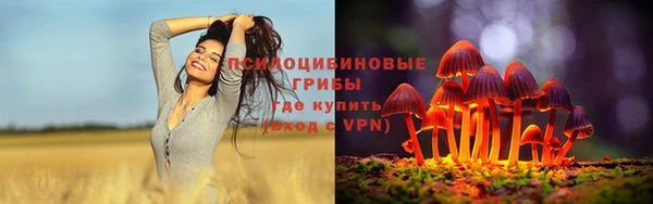 ГАЛЛЮЦИНОГЕННЫЕ ГРИБЫ Бугульма