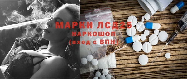 ГАЛЛЮЦИНОГЕННЫЕ ГРИБЫ Бородино