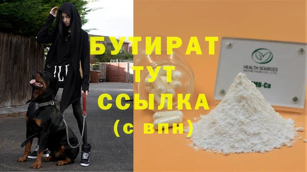 ГАЛЛЮЦИНОГЕННЫЕ ГРИБЫ Бородино