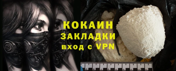 ГАЛЛЮЦИНОГЕННЫЕ ГРИБЫ Бородино