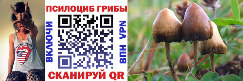 дарнет шоп  Качканар  Галлюциногенные грибы ЛСД 
